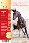 DS_Titel_0413_01.indd