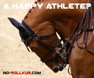 nr_athleth_jumping1-300x251